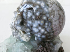 Ocean Space Jasper Skull Crystal on India Crystal Geode