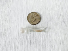 Real Mink Tooth Specimen in Tiny Glass Cork Vial Sealed with Wax