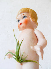 Little Miss Twiggy Bush - Vintage Doll Air Plant Garden