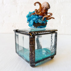 30% SALE "Little Miss Splash Puss" Real Octopus Specimen on Jewelry Box