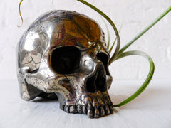 Goonie Gold Skull Pyrite Carved Crystal Life Size Air Plant Garden