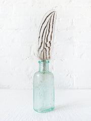 Antique Cadwell Medicine Bottle with Zebra Chicken Feather Specimen