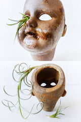 ON SALE - Distressed Creepy German Zinc Doll with Air Plant